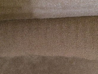 Carpet Cleaning Plymouth